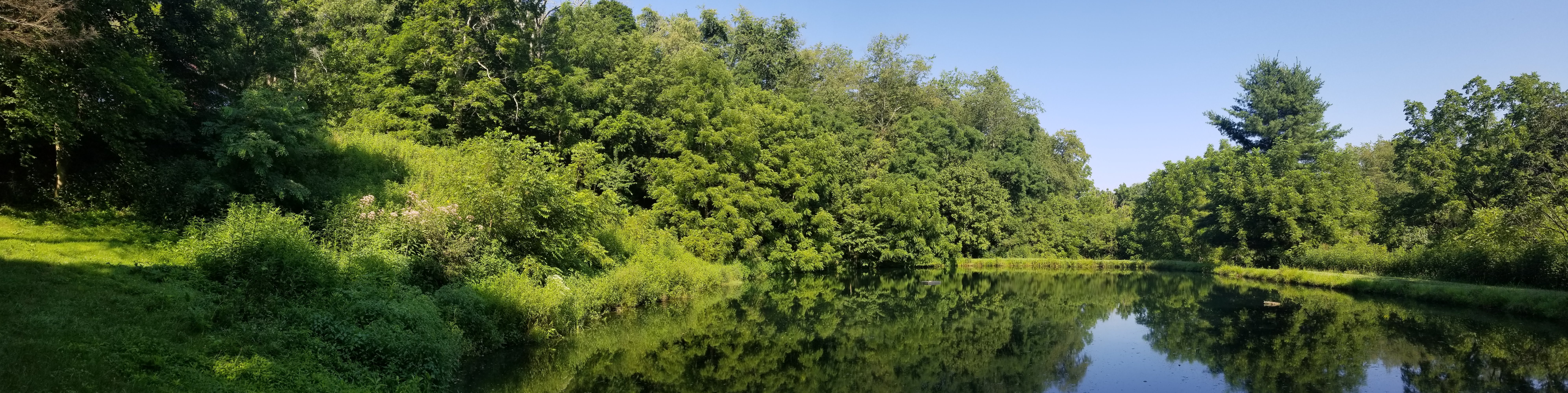 20180729_095732 – Arcadia Natives
