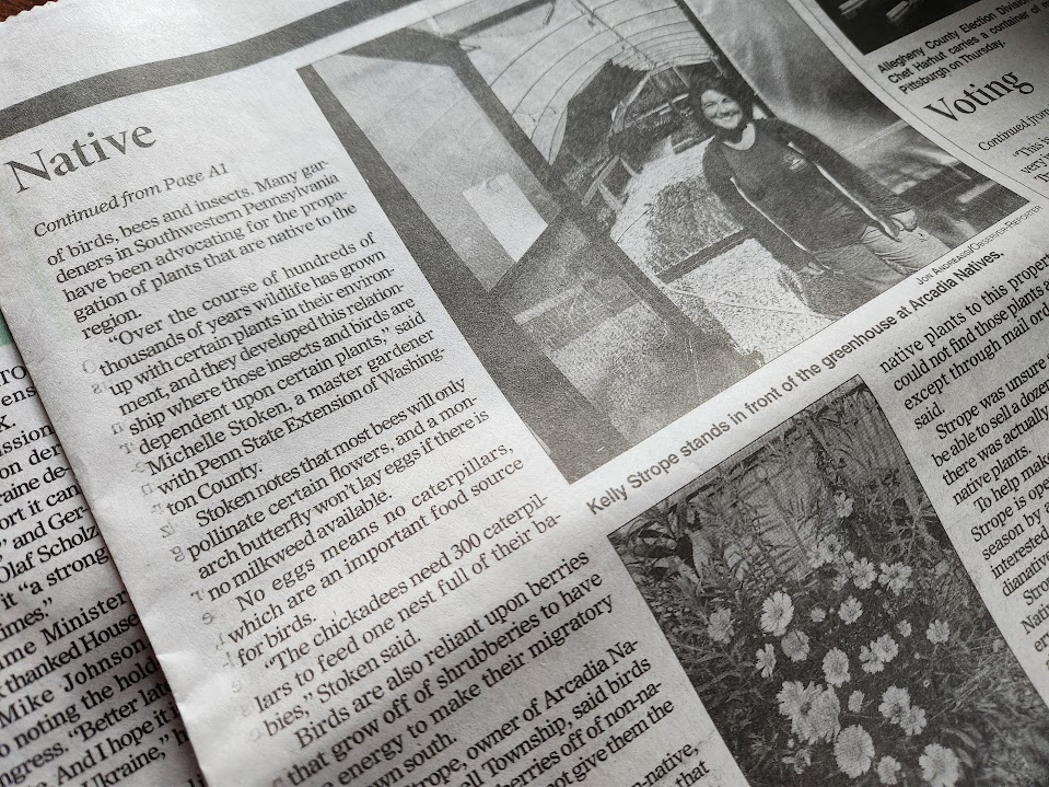 In The News Arcadia Natives