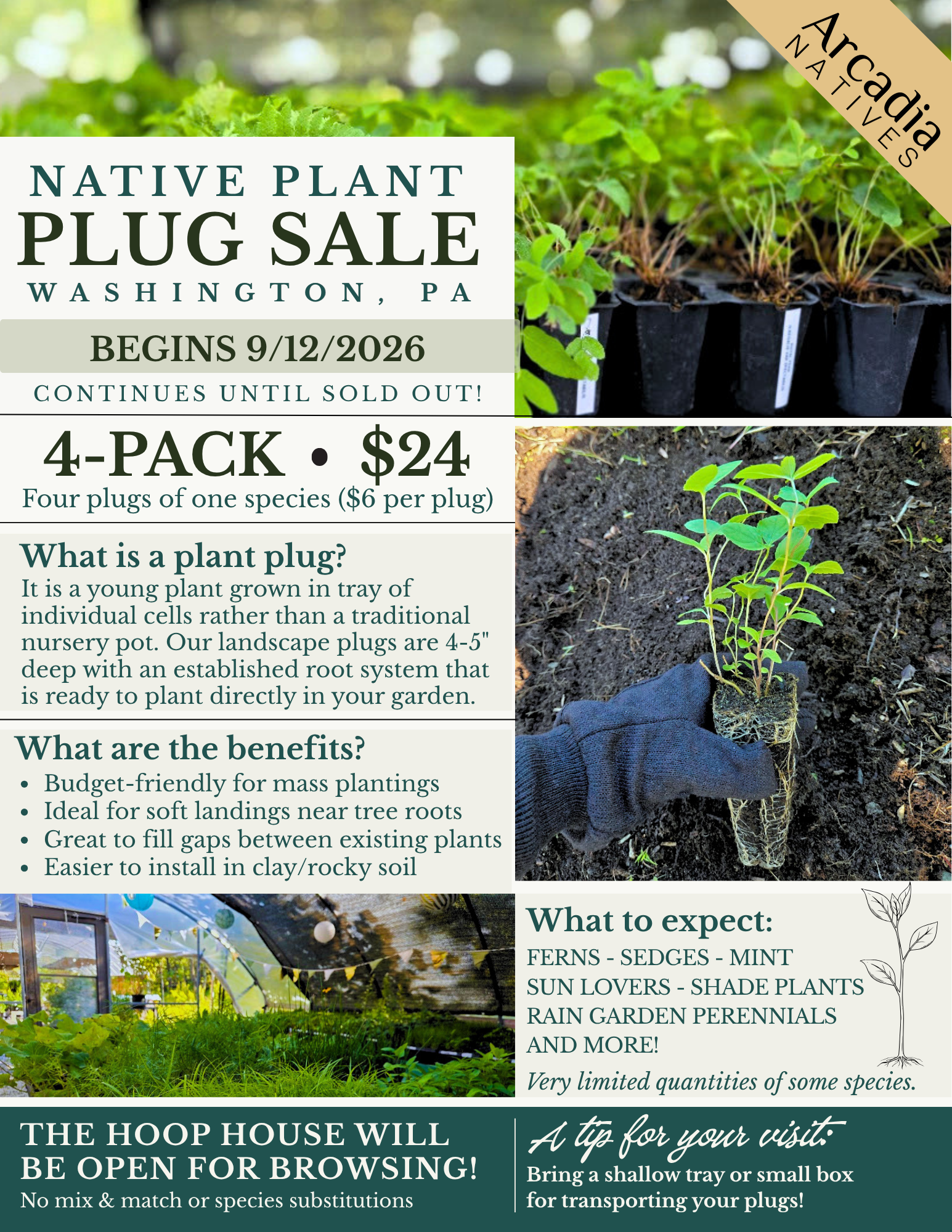 Native Plant Plug Sale event flyer